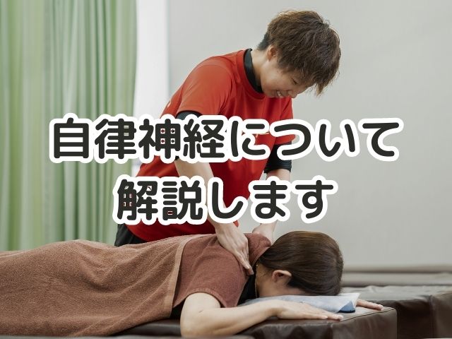 自律神経について